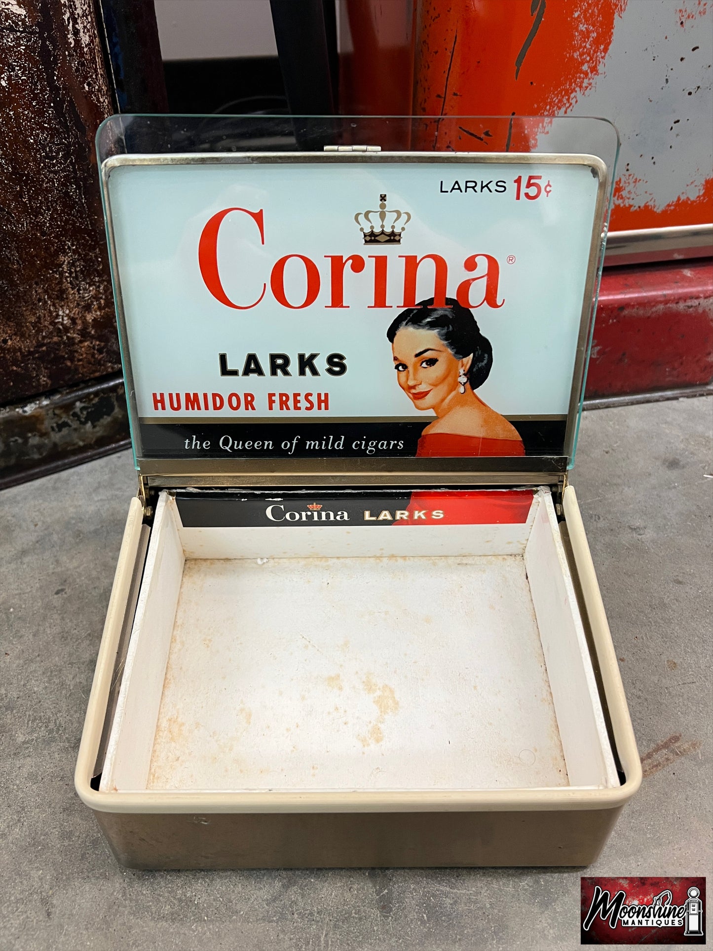 RARE Vtg. CORINA LARKS Cigar Humidor Store Display - Free Shipping!