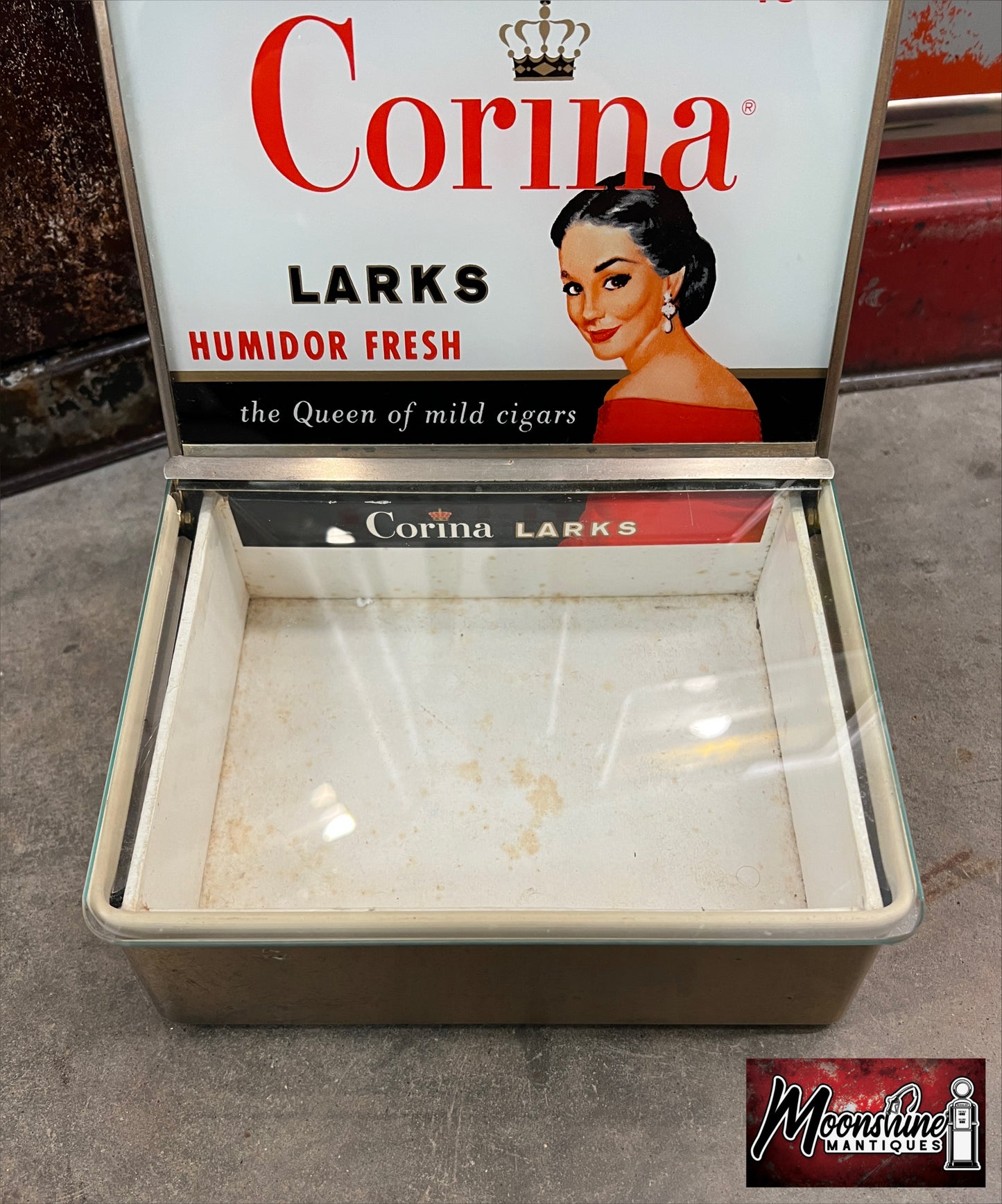 RARE Vtg. CORINA LARKS Cigar Humidor Store Display - Free Shipping!